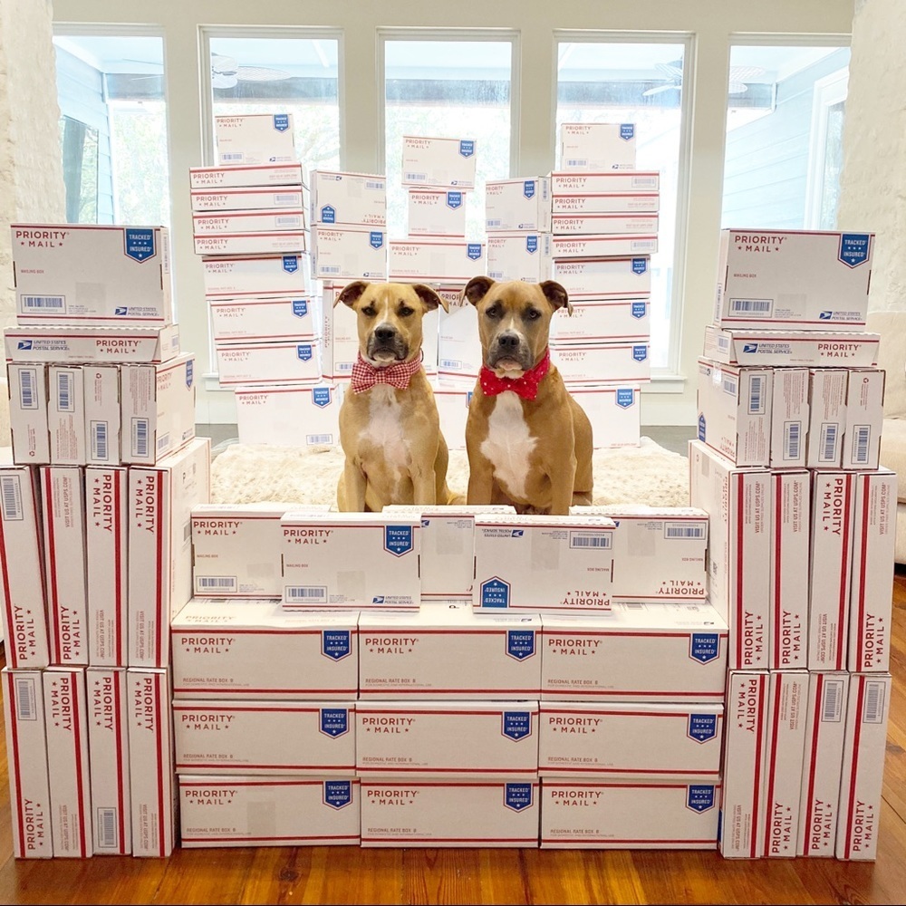 FOLLOW MY CUTE PAWSH ASSISTANTS! 🐶🐶🛍👑🐝 - Picture 4 of 16